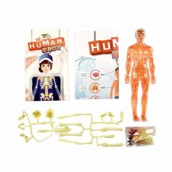Spice Box Science Lab Human Body Set Traditional Toys