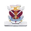 Blue Fin G Gundam King Of Hearts Small Logo Anime Toys