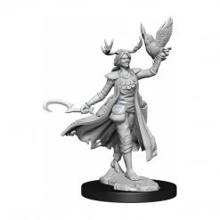 WizKids Dungeons And Dragons Frameworks Female Human Druid Figure Action Figures