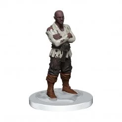WizKids Action Figures Dungeons And Dragons Icons Realms Curse Of Strahd Denizens Of Castle Ravenloft Figure