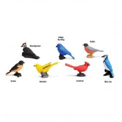 Backyard Birds Toob Mini Figures Safari Ltd Birds And Flight