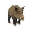 Boar Wild Safari Animal Figure Safari Ltd Land Mammals