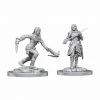 WizKids Dungeons And Dragons Female Half Elf Rouge Nolzur's Miniatures Action Figures
