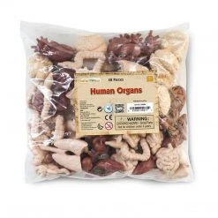 Human Organs Bulk Bag Figures Safari Ltd Land Mammals