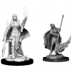Wizkids Pathfinder Battles Deep Cuts Unpainted Female Human Oracles (Magic User) Figure Set Action Figures