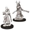 WizKids Dungeons And Dragons Female Human Druid Nolzur's Miniatures
