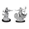 WizKids Dungeons And Dragons Female Human Wizard Nolzur's Miniatures