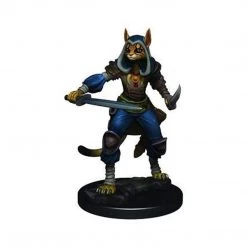 WizKids Dungeons And Dragons Female Tabaxi Rogue Painted Nolzur's Miniatures
