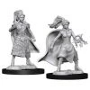 WizKids Action Figures Dungeons And Dragons Human Female Sorcerer Nolzur's Miniatures