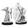 WizKids Dungeons And Dragons Human Female Warlock Nolzur's Miniatures Action Figures