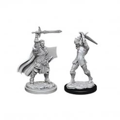 WizKids Action Figures Dungeons And Dragons Male Human Paladin Nolzur's Miniatures