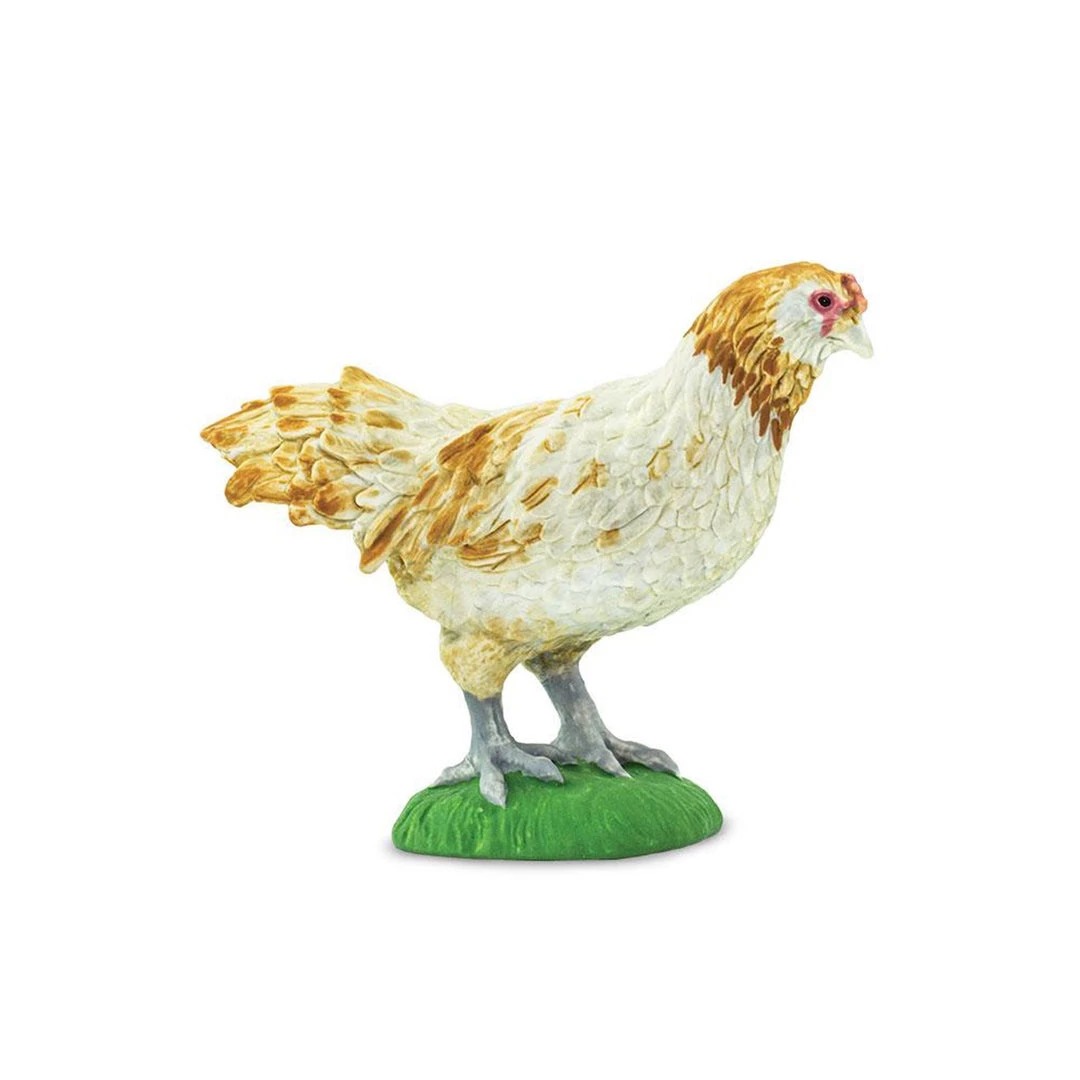 Ameraucana Chicken Animal Figure Safari Ltd 100090 3 Ameraucana Chicken Animal Figure Safari Ltd 100090