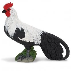 Birds And Flight Phoenix Rooster Safari Farm Safari Ltd