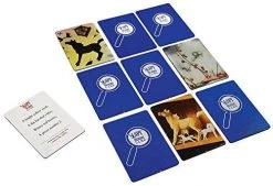 University Games The Classic I Spy Memory Game