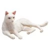 Dinosaur Figures MOJO Cat Lying White Animal Figure 387368
