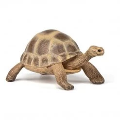 Land Mammals Papo Tortoise Animal Figure 50264