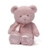 Gund My First Teddy Bear Pink 10 Inch Plush Figure Superhero And Popular Culture Plush