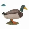 Papo Mallard Duck Animal Figure 51155 Land Mammals