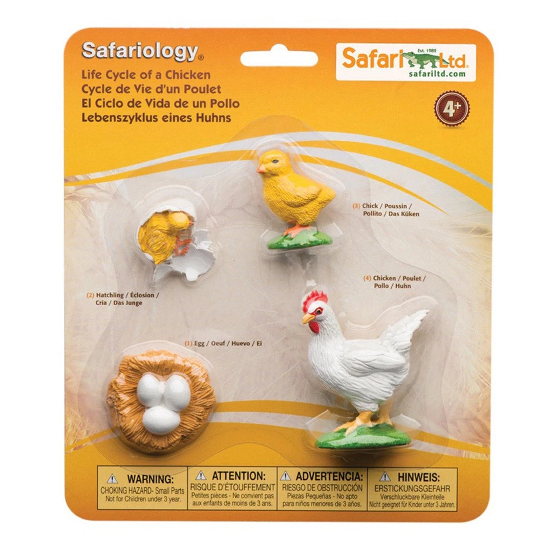 Life Cycle Of A Chicken Figures Safari Ltd 3 Life Cycle Of A Chicken Figures Safari Ltd
