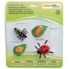 History And Science Toys Life Cycle Of A Ladybug Figures Safari Ltd 1 History And Science Toys Life Cycle Of A Ladybug Figures Safari Ltd