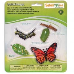 Life Cycle Of A Monarch Butterfly Safari Ltd History And Science Toys