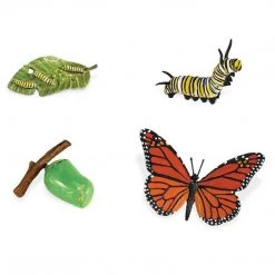 Life Cycle Of A Monarch Butterfly Safari Ltd History And Science Toys