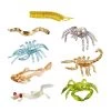 Cave Dwellers Bulk Bag Mini Figures Safari Ltd Insects And Spiders