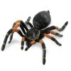 Orange-kneed Tarantula Hidden Kingdom Figure Safari Ltd Insects And Spiders
