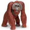 Bornean Orangutan Wildlife Wonders Figure Safari Ltd
