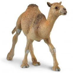 Dromedary Camel Wildlife Figure Safari Ltd Land Mammals