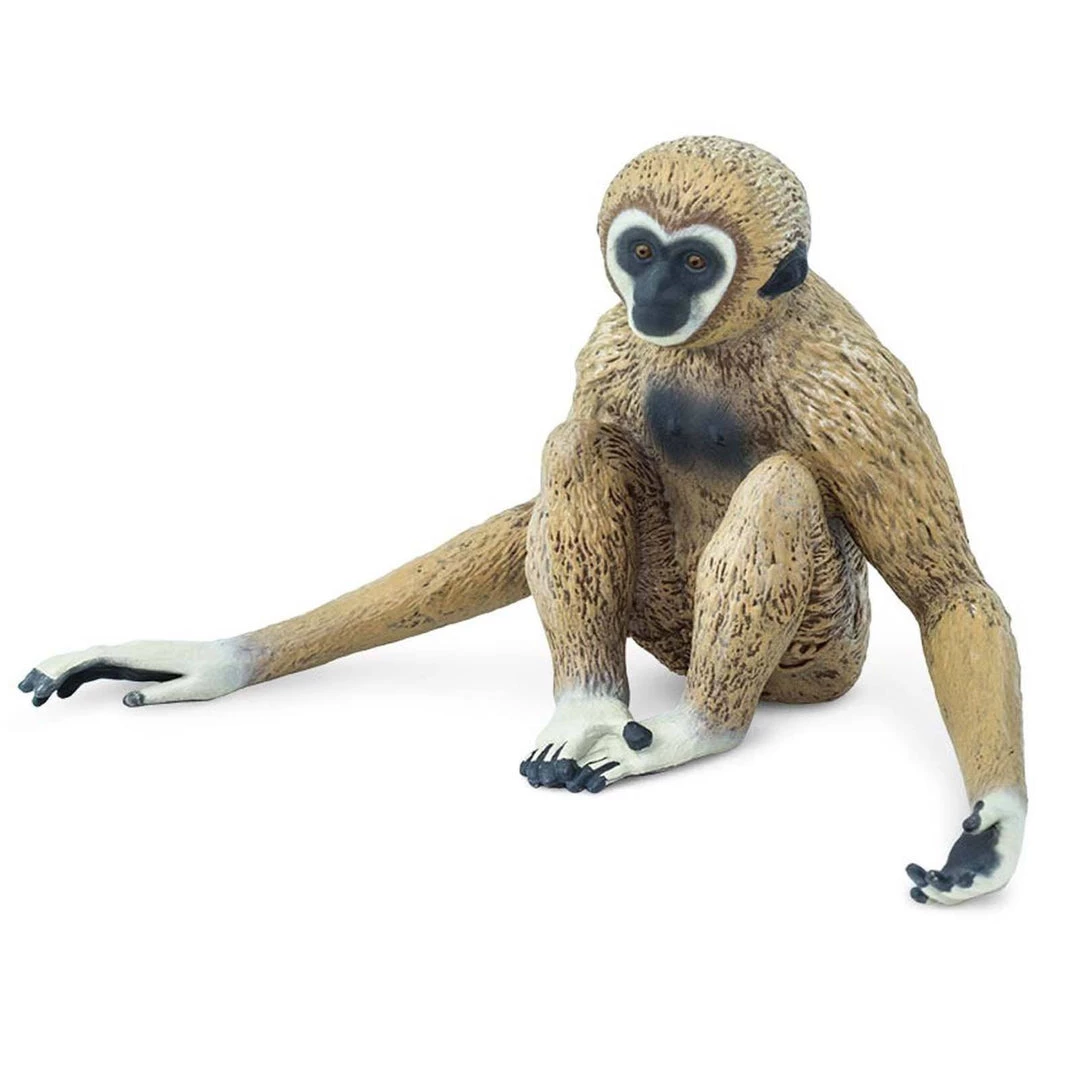 Land Mammals Gibbon Incredible Creatures Figure Safari Ltd 4 Land Mammals Gibbon Incredible Creatures Figure Safari Ltd