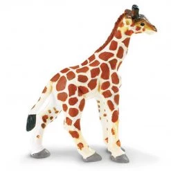 Land Mammals Giraffe Baby Wildlife Safari Ltd