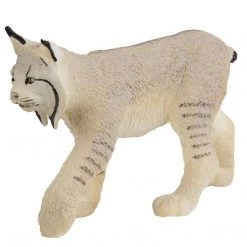 Land Mammals Lynx North American Wildlife Safari Ltd