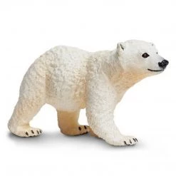 Land Mammals Polar Bear Cub Sea Life Safari Ltd