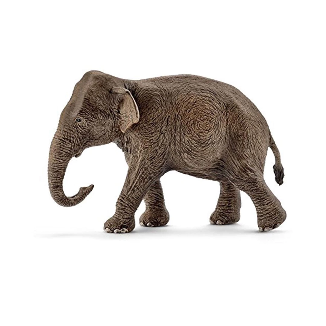 Land Mammals Schleich Asian Elephant Female Animal Figure 3 Land Mammals Schleich Asian Elephant Female Animal Figure