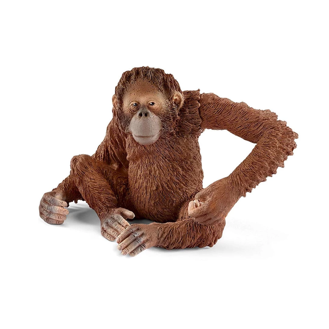 Schleich Orangutan Female Animal Figure Land Mammals 3 Schleich Orangutan Female Animal Figure Land Mammals