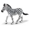 Zebra Foal Wildlife Figure Safari Ltd Land Mammals