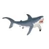 Great White Shark Sea Life Safari Ltd
