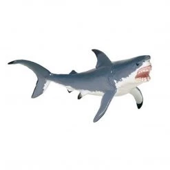 Great White Shark Sea Life Safari Ltd