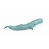 Ocean Creatures Sperm Whale Sea Life Safari Ltd