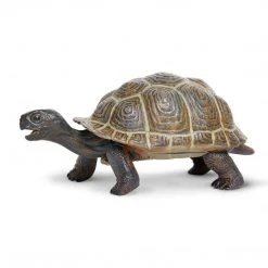 Ocean Creatures Tortoise Baby Incredible Creatures Figure Safari Ltd