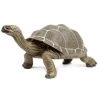 Ocean Creatures Tortoise Large Incredible Creatures Figure Safari Ltd