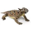 Horned Lizard Incredible Creatures Figure Safari Ltd 2 Horned Lizard Incredible Creatures Figure Safari Ltd