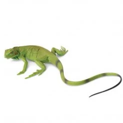 Iguana Baby Incredible Creatures Figure Safari Ltd Reptiles And Snakes